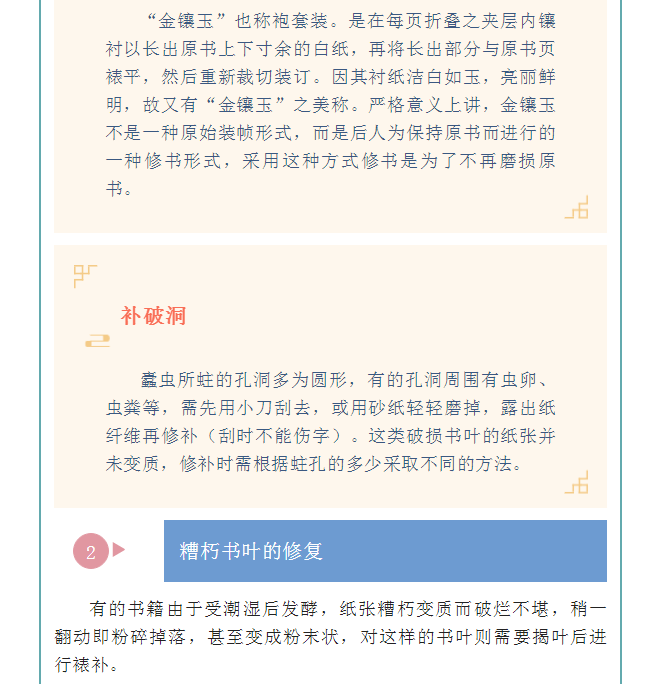 image.png?v=1754275719565