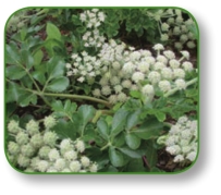 pagenumber_ebook=279,pagenumber_book=266