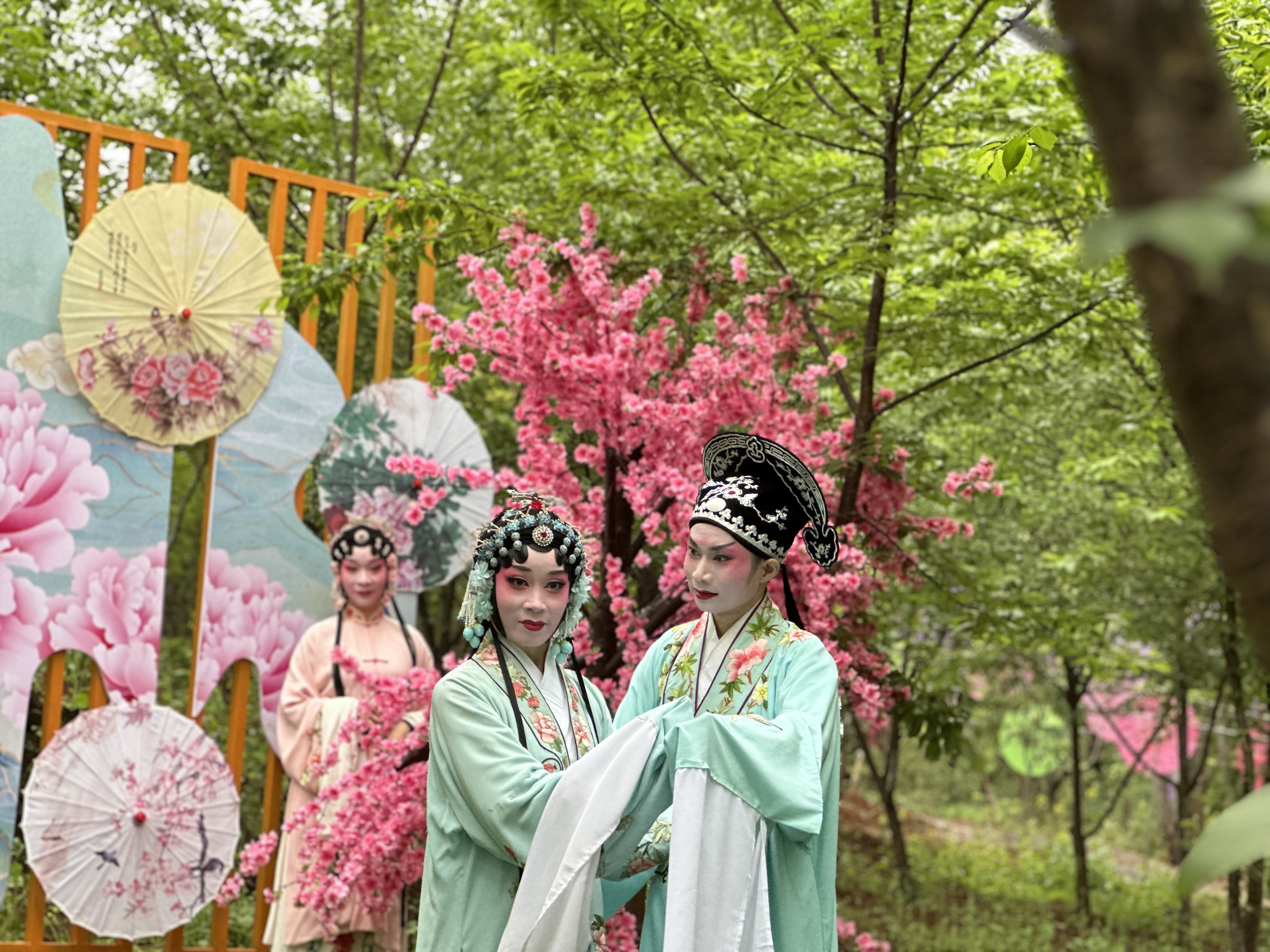 3月26日舂陵江镇牡丹园 3月26日舂陵江镇牡丹园.jpg