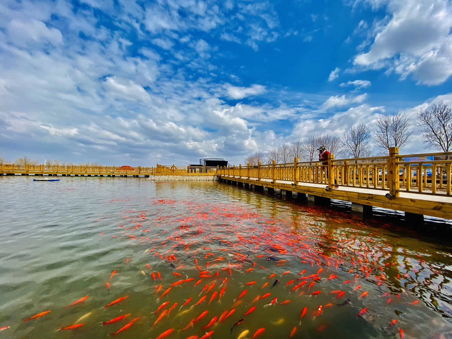 微信图片_20230705135839 微信图片_20230705135839.jpg