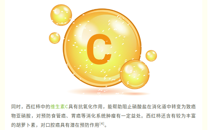 image.png?v=1785048961388