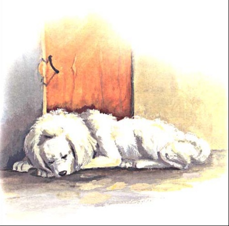 内容插图之四 内容插图之四.jpg