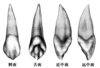 pagenumber_ebook=28,pagenumber_book=19