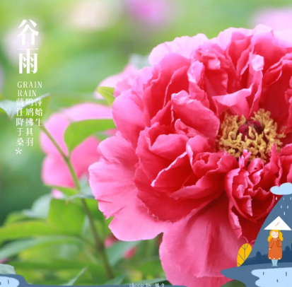 图片 图片.png?v=1761705856226