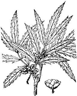 pagenumber_ebook=175,pagenumber_book=175