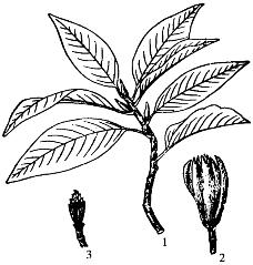 pagenumber_ebook=101,pagenumber_book=101