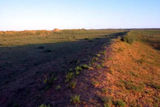 A11.jpg?v=1763520868647