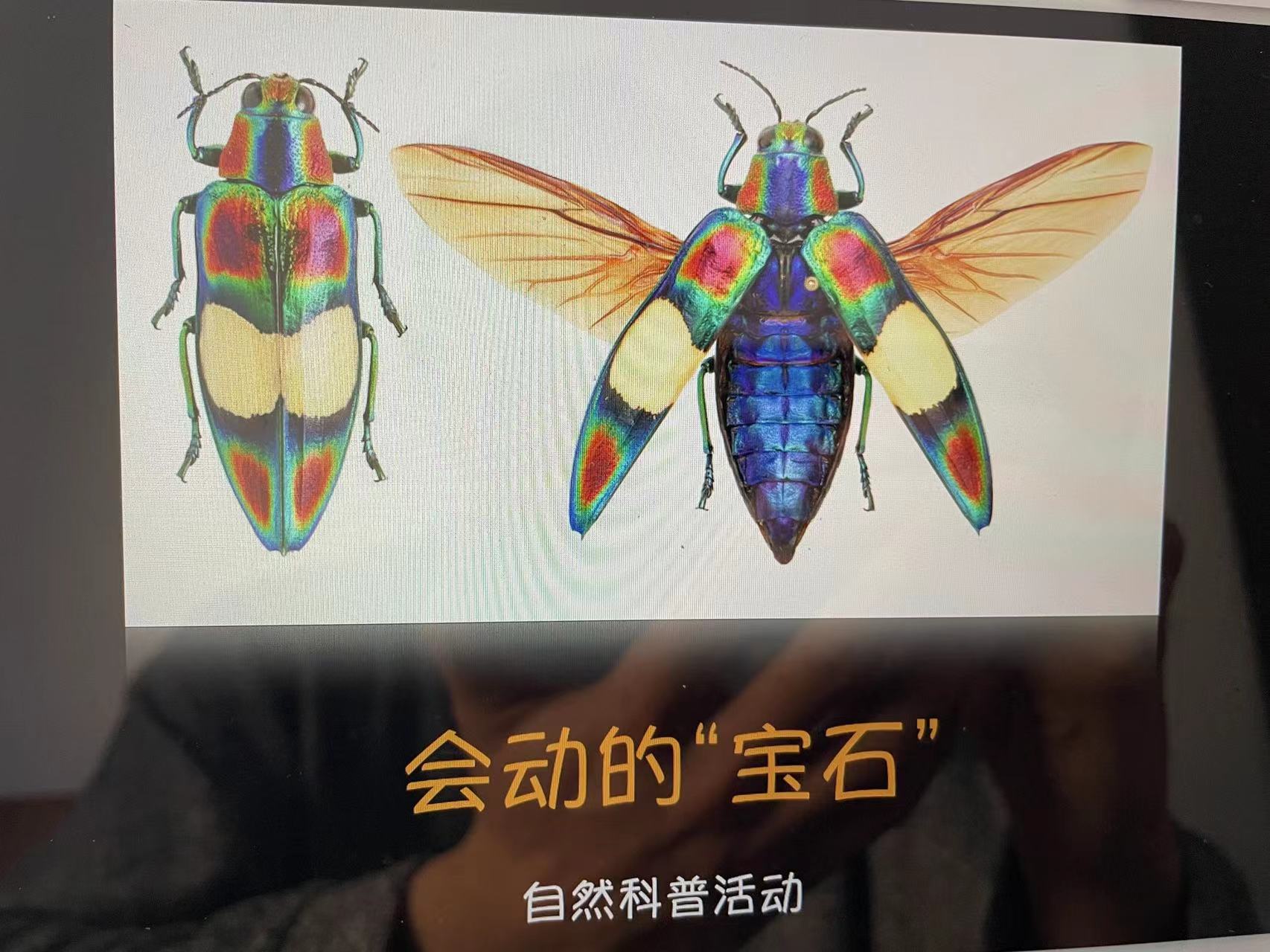 微信图片_20211122134304 微信图片_20211122134304