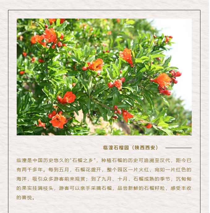 image.png?v=1762073883182