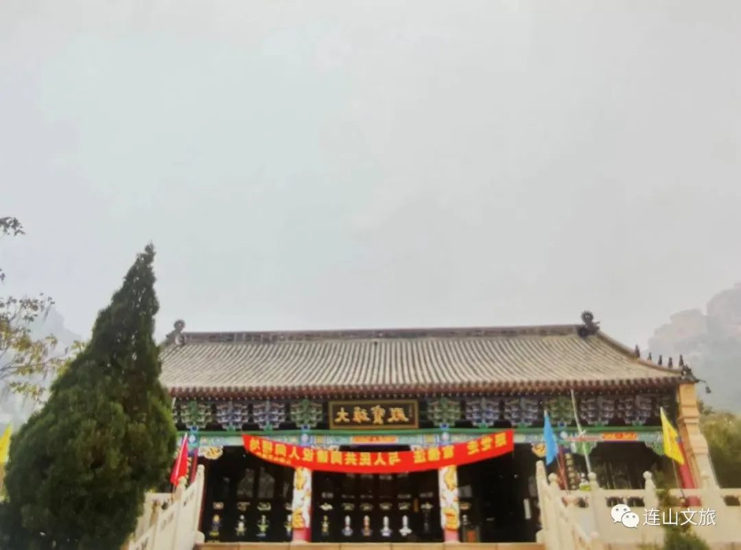 image image.png?v=1770173641761