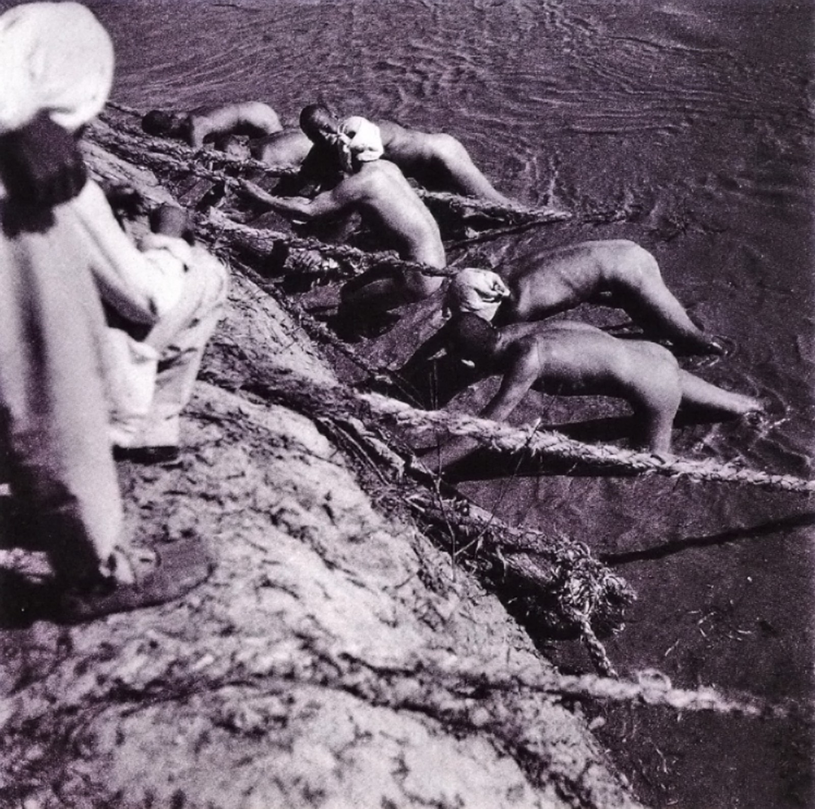 05.1949山东惠济谷家险工抢险队员推柳石枕入水
