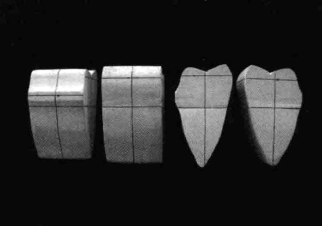 pagenumber_ebook=215,pagenumber_book=206