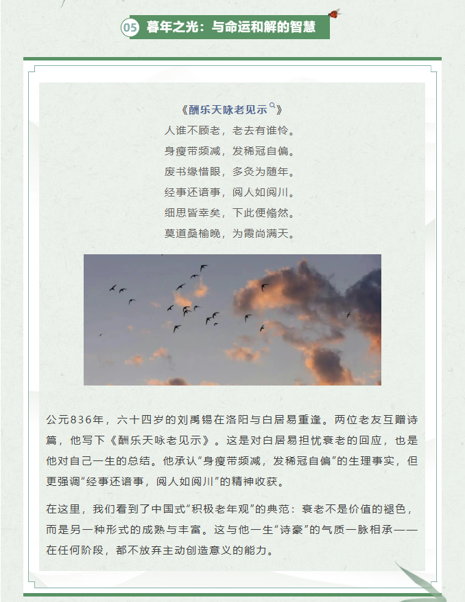 image.png?v=1770178028045