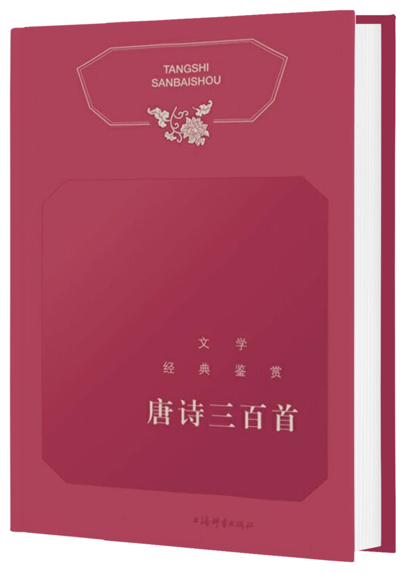 11 11.png?v=1762663917104