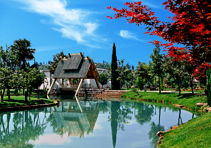 阿庐公园一角 阿庐公园一角.jpg