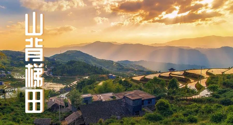 微信图片_20200506140739 微信图片_20200506140739.jpg