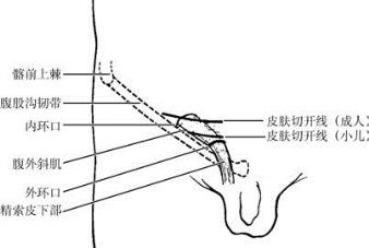 pagenumber_ebook=587,pagenumber_book=572