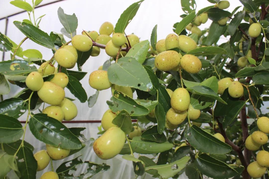 微信图片_20200917001358 微信图片_20200917001358.jpg