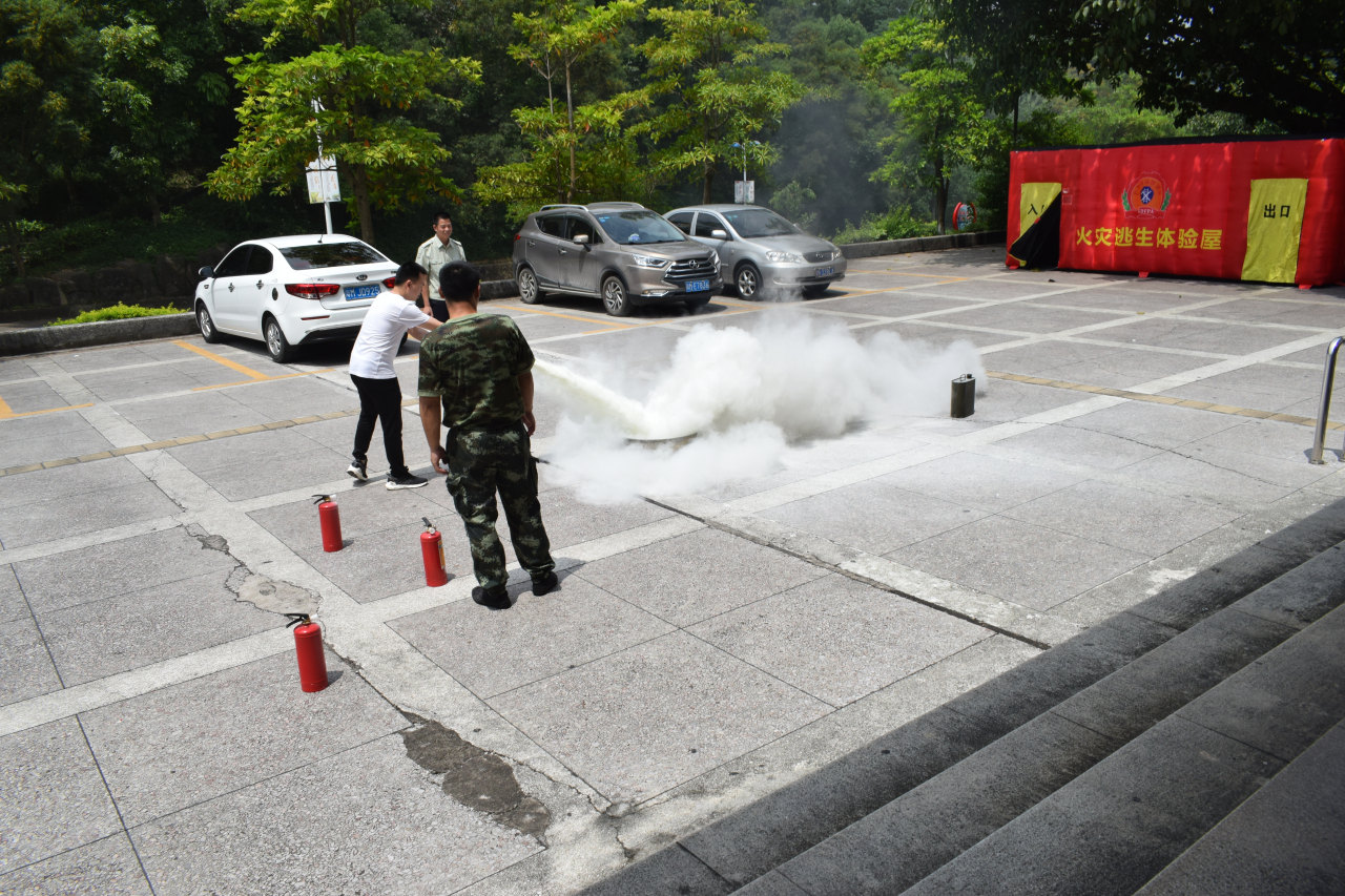 8_编辑 8_编辑.jpg?v=1766050363250