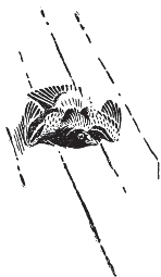 pagenumber_ebook=75,pagenumber_book=67