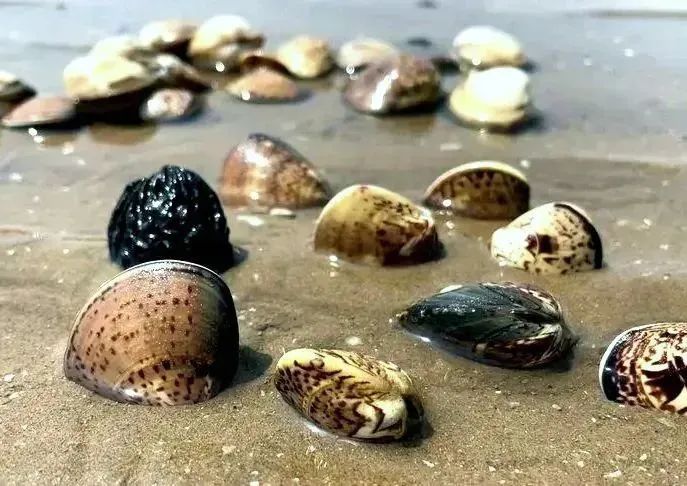 0afb3a45771ac470094a42bdb6096b42 0afb3a45771ac470094a42bdb6096b42.jpg