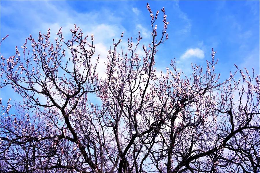 微信图片_20210318082733