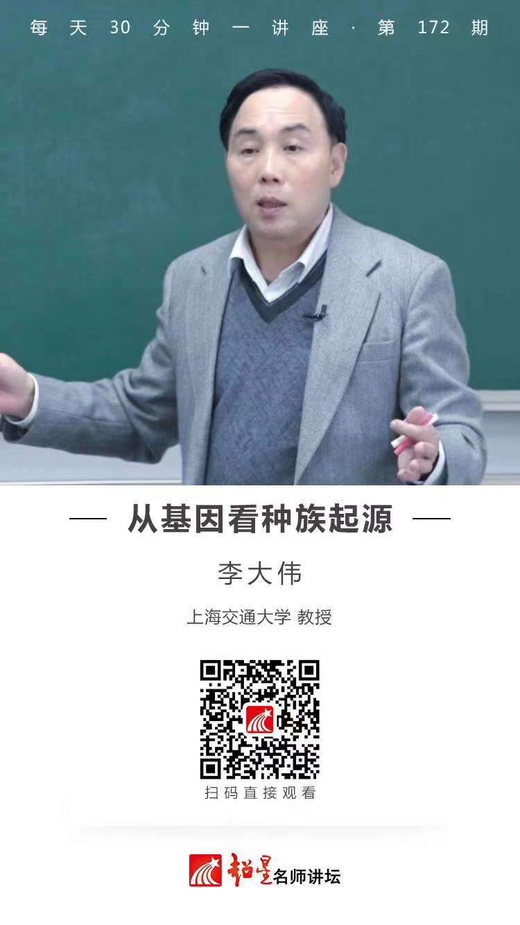 image image.png?v=1765792409675