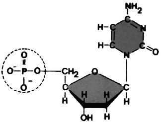 pagenumber_ebook=89,pagenumber_book=89