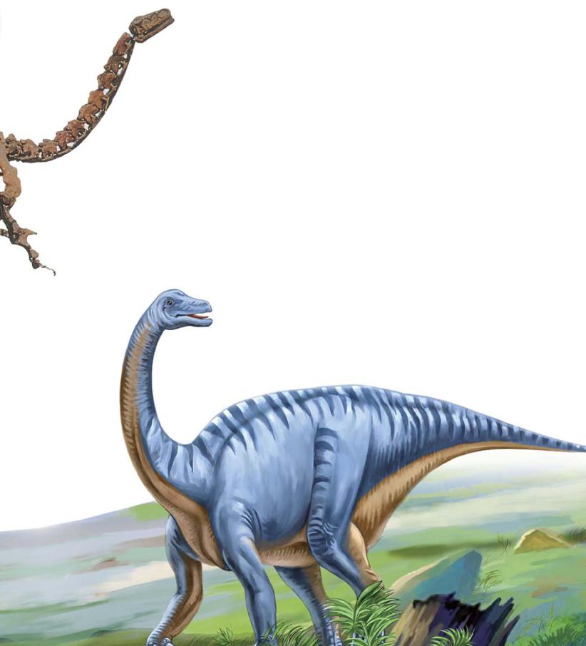 pagenumber_ebook=78,pagenumber_book=67