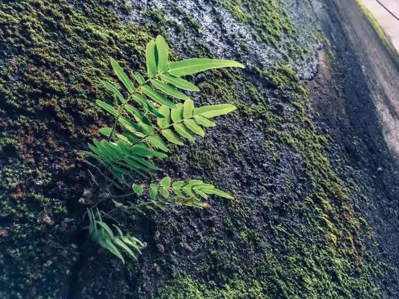 微信图片_20200916231353