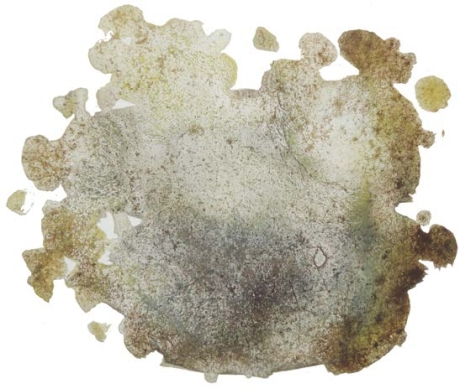 pagenumber_ebook=78,pagenumber_book=78