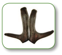 pagenumber_ebook=261,pagenumber_book=248