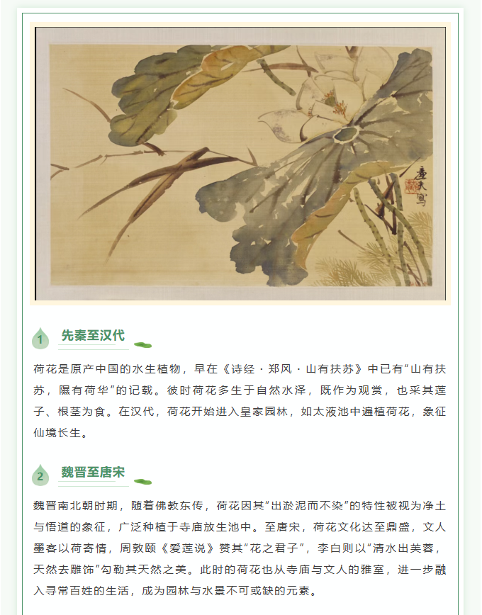 image.png?v=1766278434585