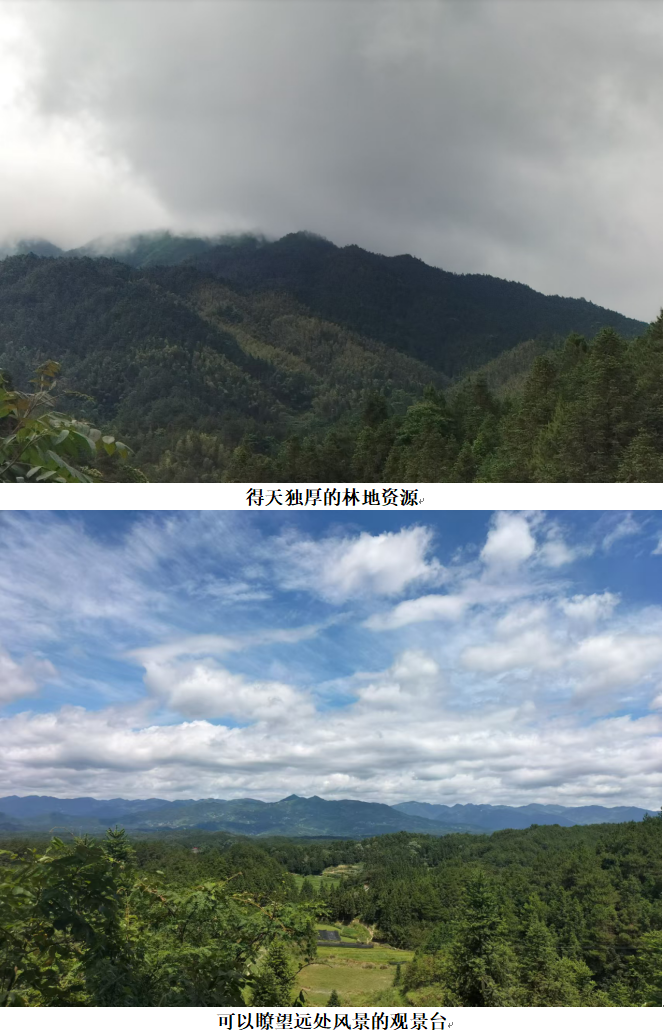 1732337222084 1732337222084.png