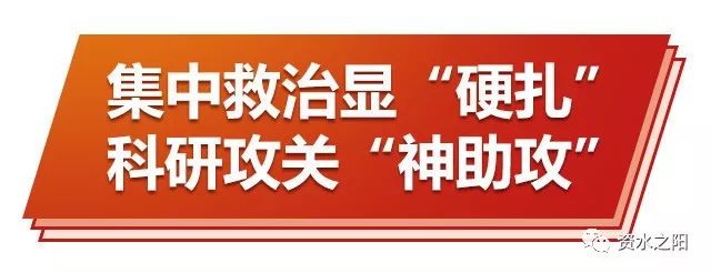 6 6.jpg?v=1765925510400