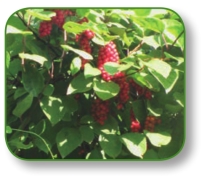 pagenumber_ebook=294,pagenumber_book=281