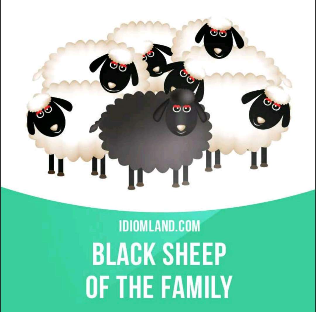 2. black sheep of the family 败家子