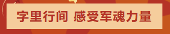 image.png?v=1759070604689