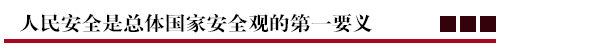 人民安全是总体国家安全观的第一要义.png