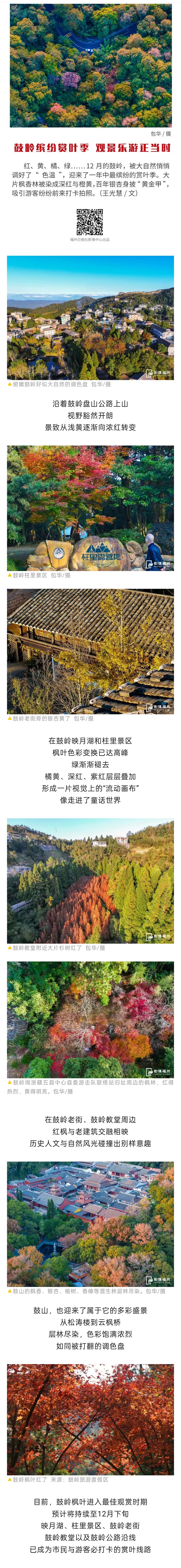 20251212【资讯】最是橙黄橘绿时！福州迎来最佳赏叶季2jpg