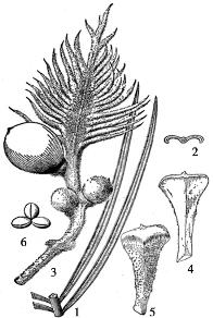 pagenumber_ebook=70,pagenumber_book=70