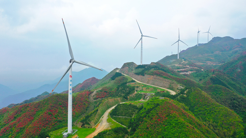 LOCAL202104271506000314185876732