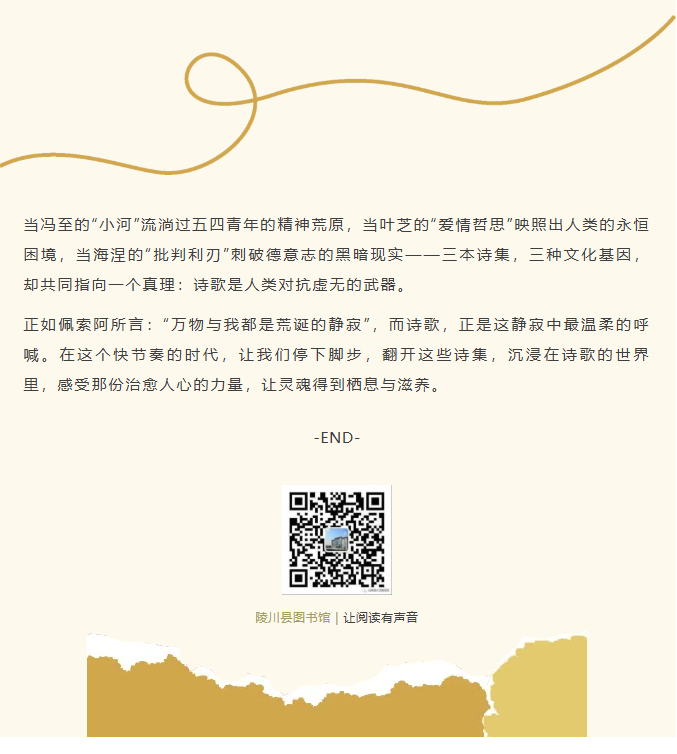 image.png?v=1762126141878