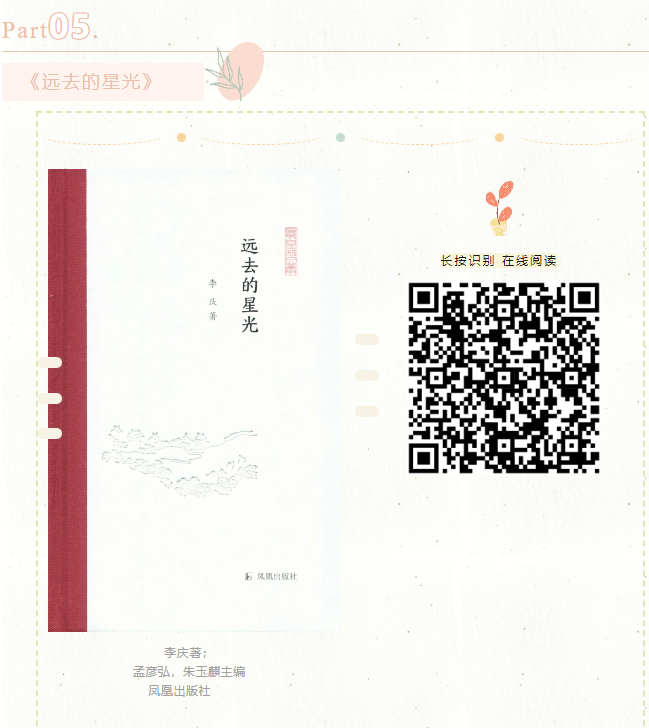 image image.png?v=1763579571163