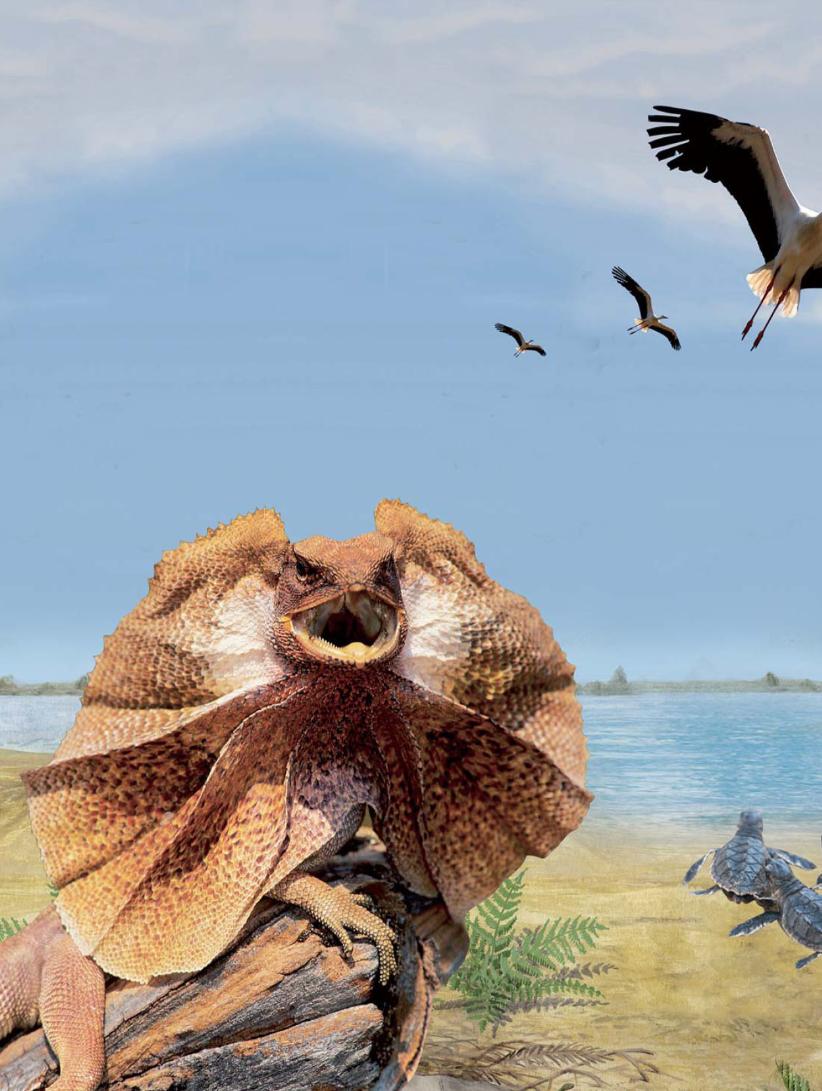 pagenumber_ebook=21,pagenumber_book=10