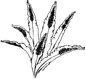 pagenumber_ebook=286,pagenumber_book=286