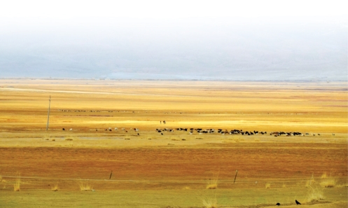 pagenumber_ebook=43,pagenumber_book=32