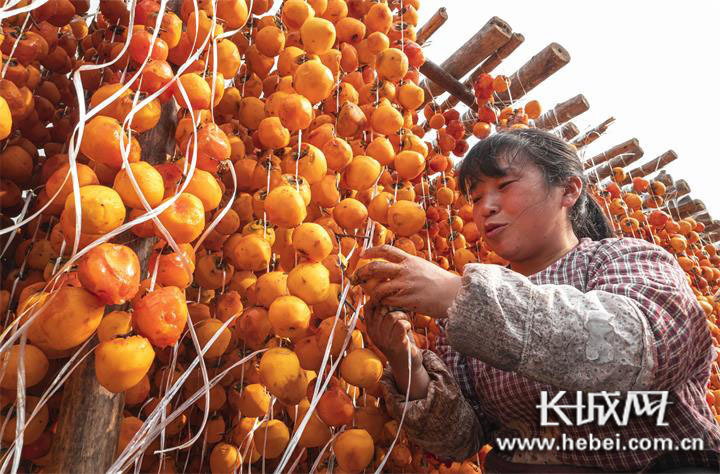 微信图片_20201213105459 微信图片_20201213105459.jpg