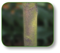 pagenumber_ebook=129,pagenumber_book=116