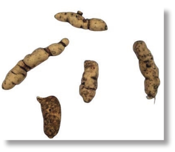 pagenumber_ebook=88,pagenumber_book=75